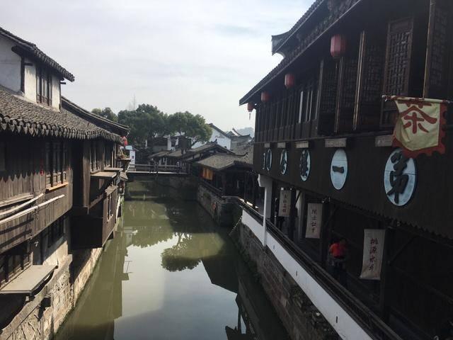 春雨直播app